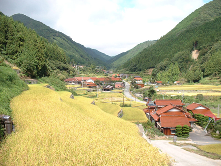 山口市地域おこし協力隊募集