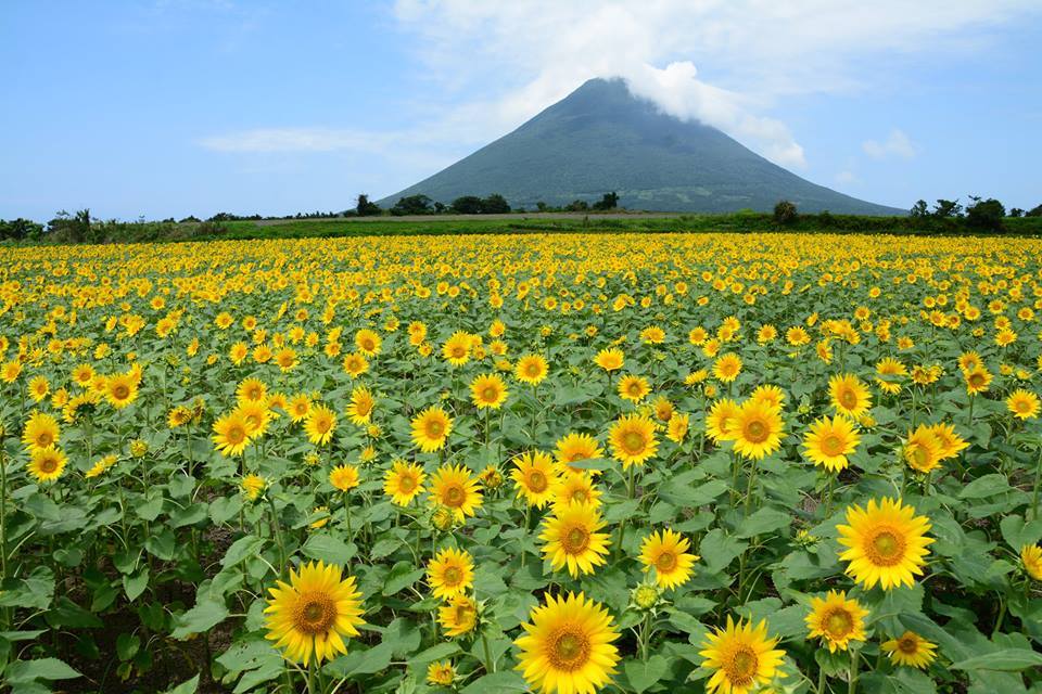 【鹿児島県】かごしま移住･交流セミナーin東京