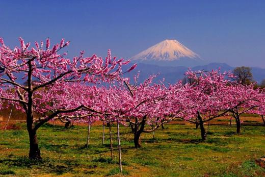 【山梨県】　やまなし暮らしセミナー第4弾　南アルプス市