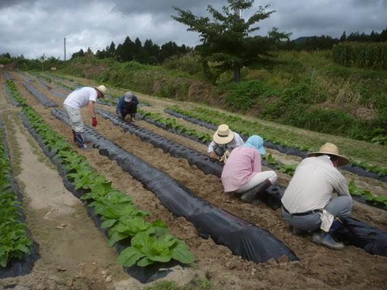 【徳島県那賀町】那賀の夏体験～わじきライン川下り＆馬とふれあうファームステイ～