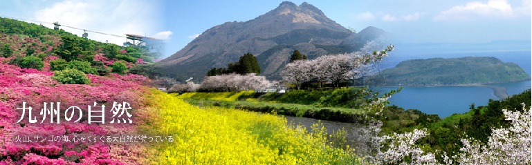 【福岡県・佐賀県・長崎県・大分県・熊本県・宮崎県・鹿児島県】　九州7県合同移住相談会＆セミナー