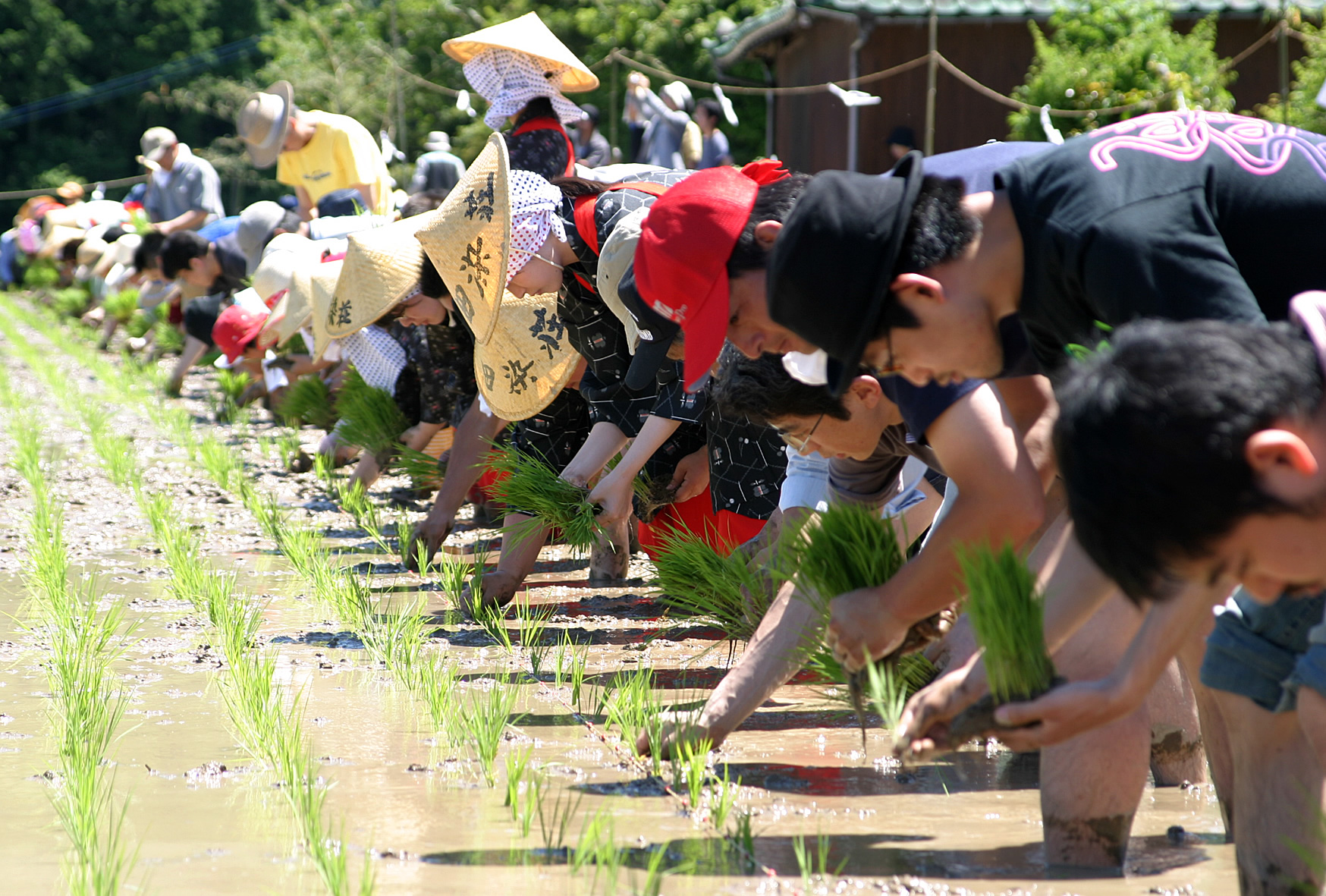 【大分県】おおいた暮らし塾～地域おこし協力隊・説明会～