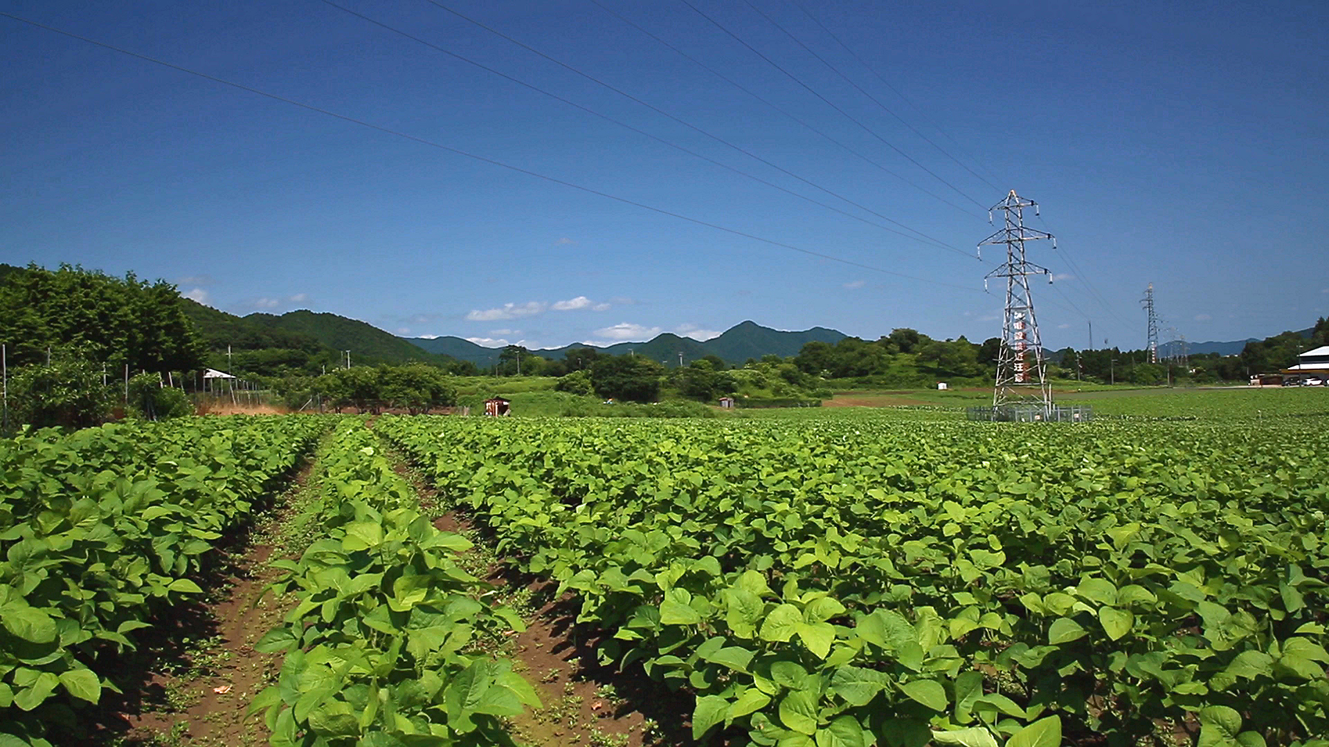 【兵庫県朝来市】あさご暮らし体験会