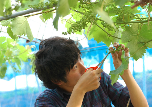 《山梨県》7月28日（日）やまなし就農セミナー