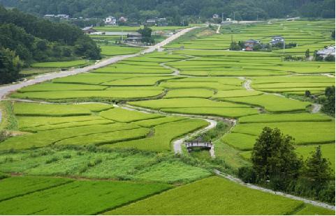 おおいた交流・定住フェア2014 !!