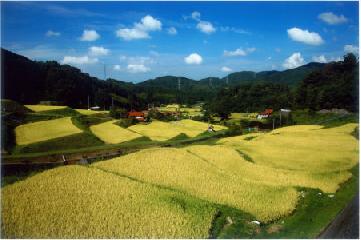 《島根県》神々の国しまね就農相談会ツアー農業体験もできます!!
