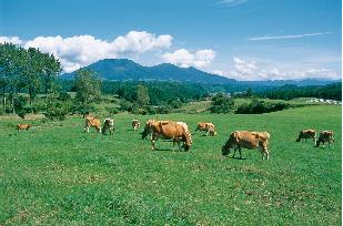 【岡山県】「おかやま晴れの国ぐらし相談デスク」