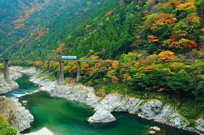 【徳島県三好市】三好市祖谷（いや）でいなか暮らし体験ツアーを開催します！