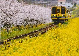 【千葉県いすみ市】「いすみ暮らし」応援します セミナー