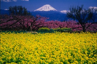 【山梨県】第11回やまなし暮らしセミナー「韮崎市」