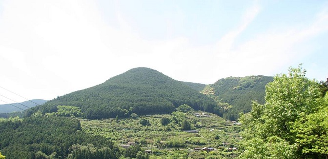 【和歌山県】梅と紀州備長炭の田辺市での現地体験会をご案内します!