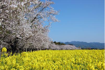 《宮崎県》西都市　移住相談会開催!!