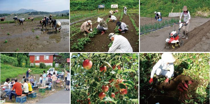 【長野県飯山市】農的な田舎暮らし体験～百姓塾～