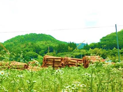 【茨城県】地域おこし協力隊募集のお知らせ～アイデア提案型インターンシップ・コーディネーター求む！～