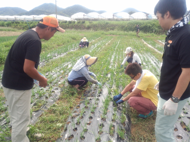 【島根県】益田市 『ますます「ますだ」が好きになる!!農業体験プログラム（１１月開催）』の参加者募集！！