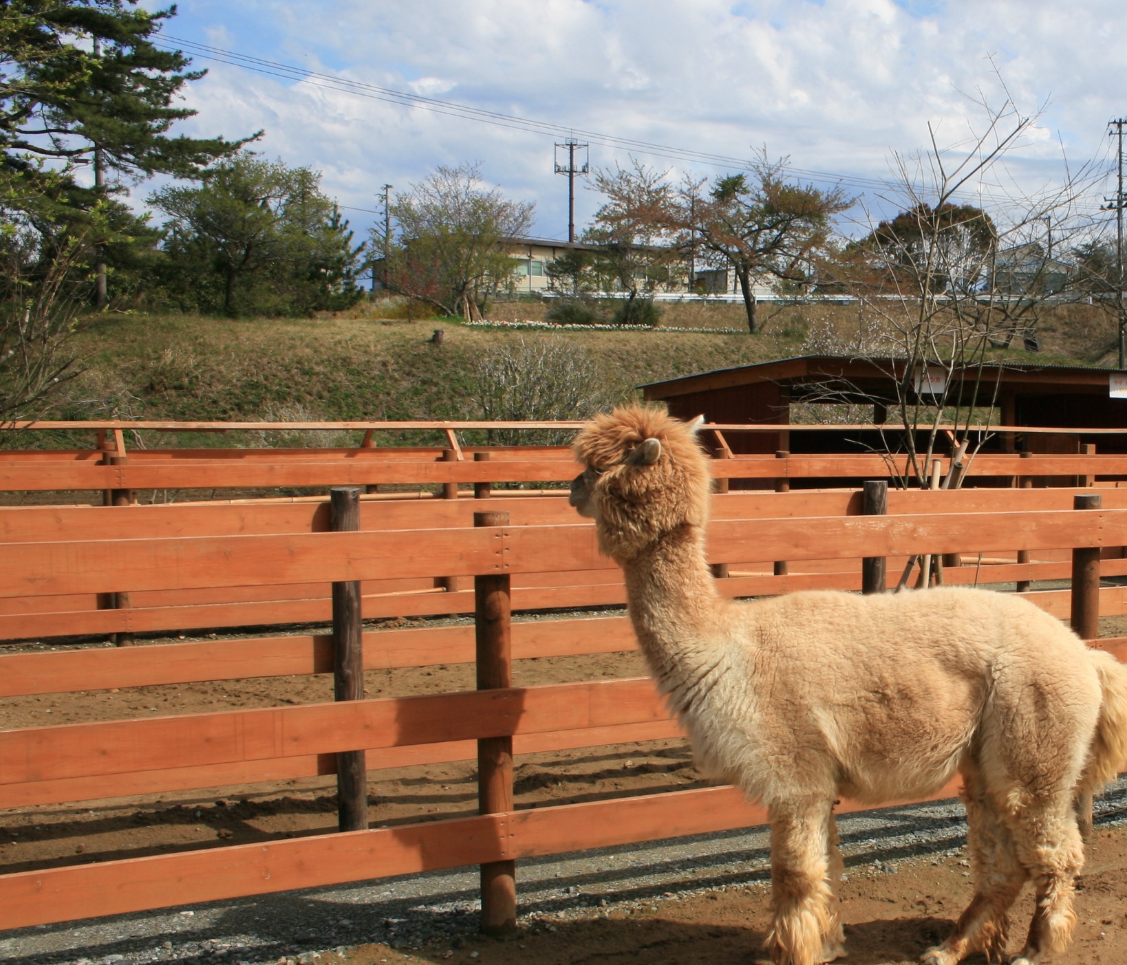 【福島県】相馬・双葉地方定住支援セミナー～相馬双葉地方で新たな一歩～