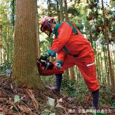 【山梨県】第7回やまなし暮らしセミナー「林業」