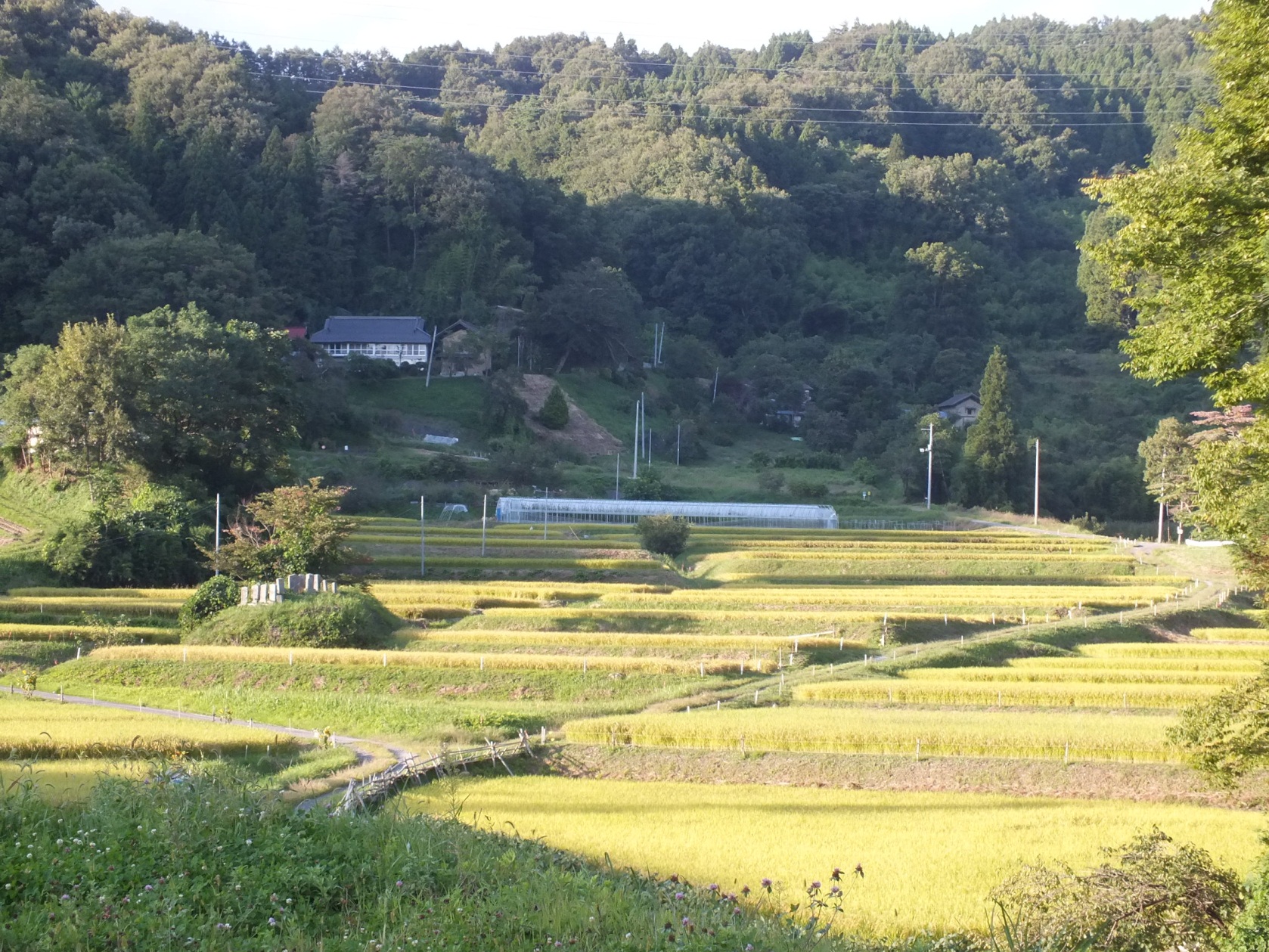 【福島県】県北あぶくま地域・里山暮らしセミナー