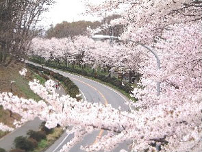 長野県茅野市の田舎暮らし“じっくり聞こう本音で話そう相談会”