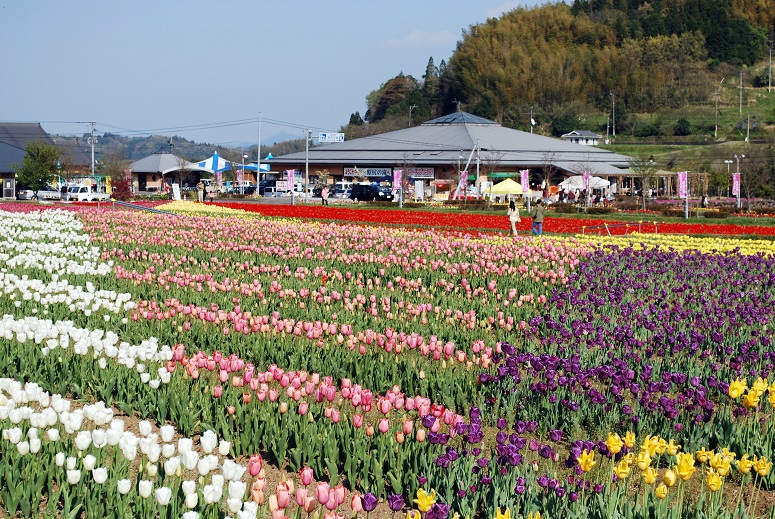 【大分県】おおいた暮らし塾