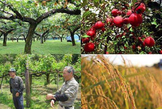 【山口県山口市】長州援農隊プロジェクト「山口市で就農しませんか？」