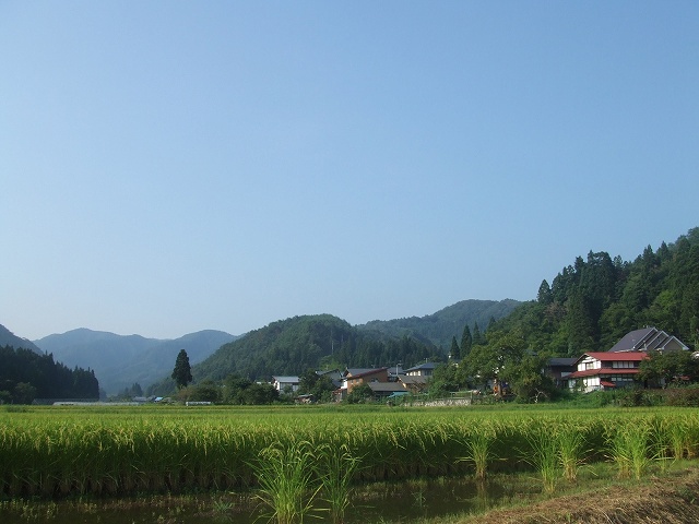 【福島県会津美里町】関山田んぼオーナー募集！