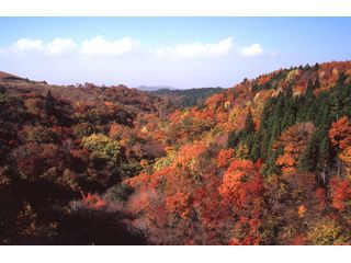 【大分県】おおいた暮らし塾