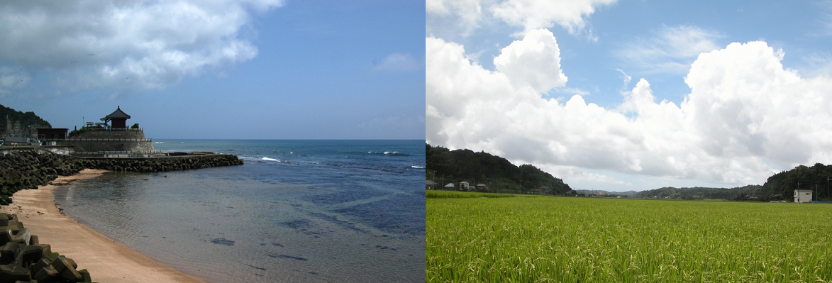 【千葉県】いすみ暮らしセミナー～いすみに移住（いすみ）しませんか？～