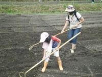 ほろむいイチゴ四季の里　体験村「本格そば打ちコース」