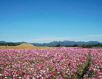 【宮崎県】西都市　移住相談会