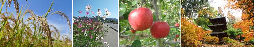 《長野県》佐久ライフセミナー＆移住定住相談会