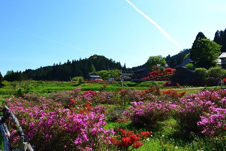 【石川県】石川県で一番東京に近い町 穴水町暮らしセミナー