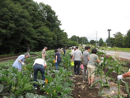 《茅野市》夏野菜の収穫と物件見学ツアー