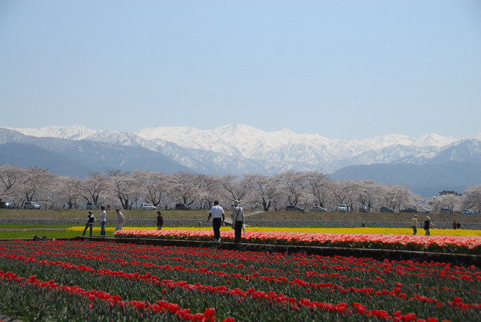 【富山県】朝日町ふるさと暮らしセミナー