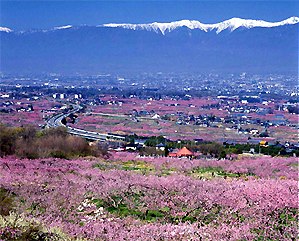 【山梨県】第6回　やまなし暮らしセミナー・・笛吹市