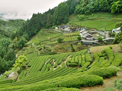 【静岡県】”ふじのくにに住みかえる”セミナー