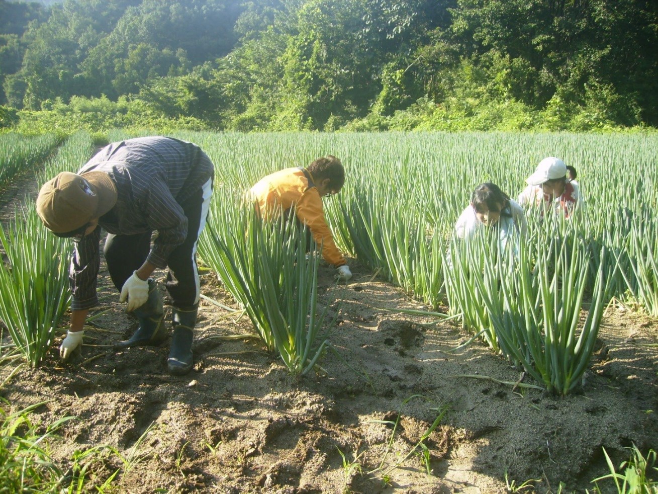 【福島県県北地域】里山暮らしセミナー～チャレンジ！有機農業～