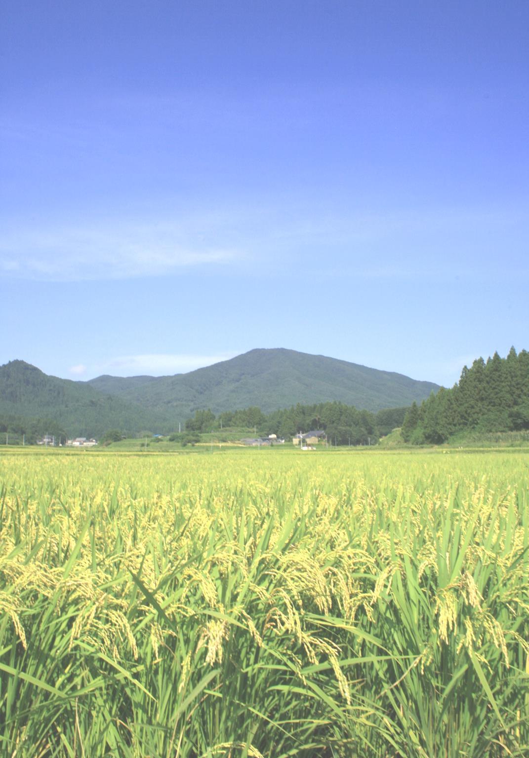 【福島県】小野町　I （need） JUターンセミナー