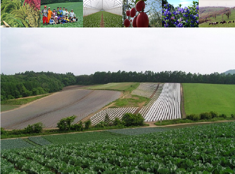 【岩手県】いわて就農セミナー＆相談会いわてに住んで農しようセミナーⅫ