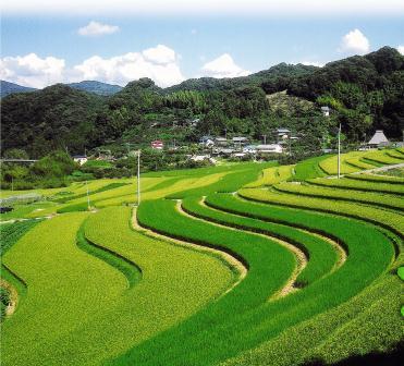 【和歌山県】”わかやま田舎暮らしセミナー”開催のお知らせ