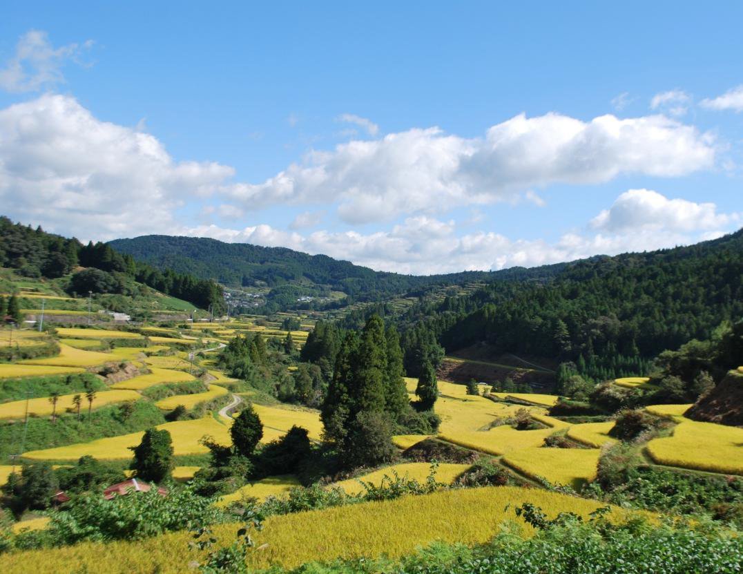 【高知県】＼あったか／高知で暮らす笑談会inTOKYO